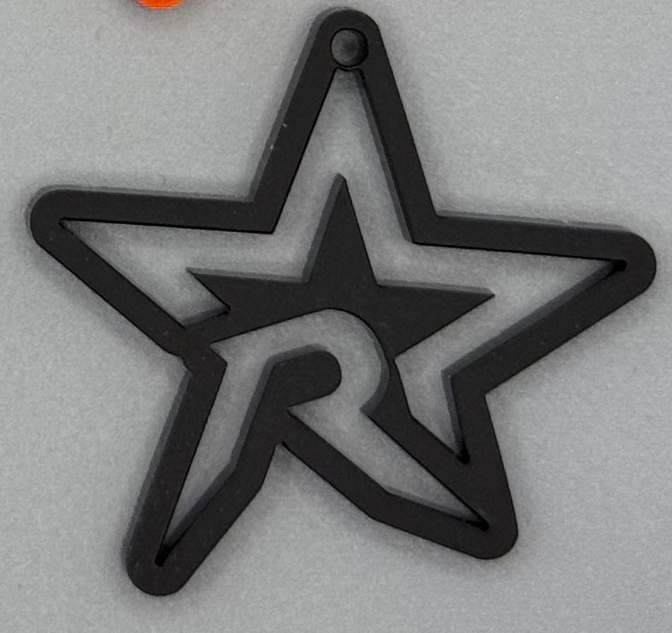 Ross Elementary North Star Spirit Earrings