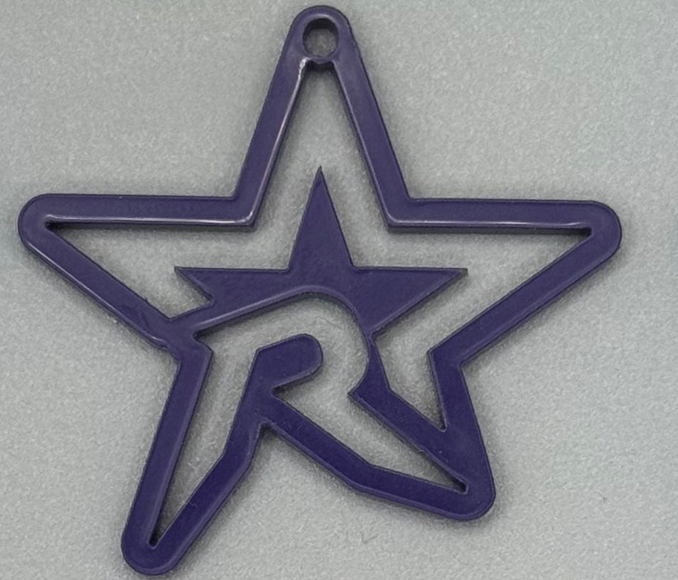 Ross Elementary North Star Spirit Earrings