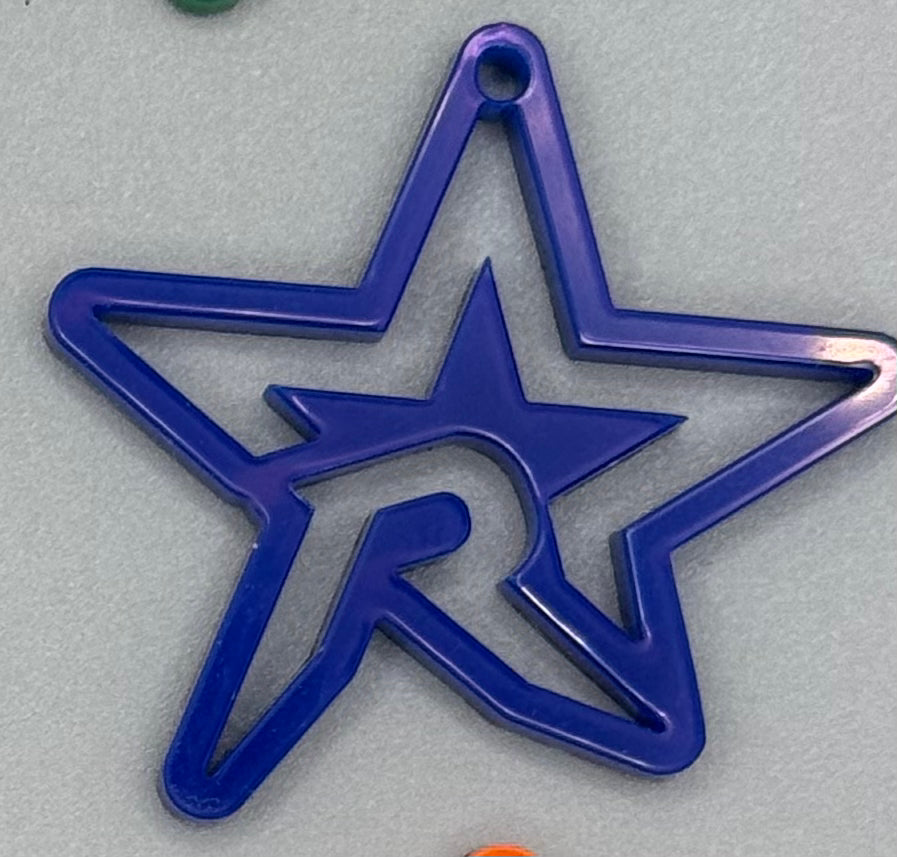 Ross Elementary North Star Spirit Earrings