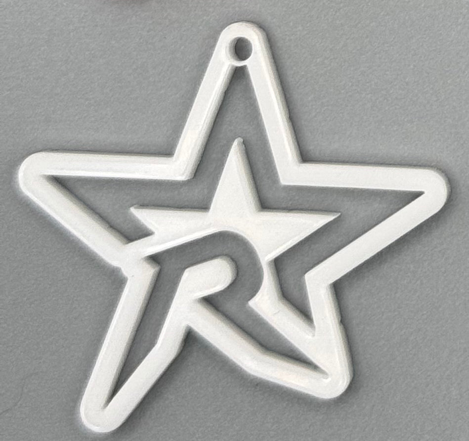 Ross Elementary North Star Spirit Earrings