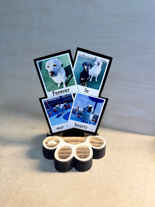 Pup Paw Four-Picture Polaroid Memorial For Petropolis and Happy Tails